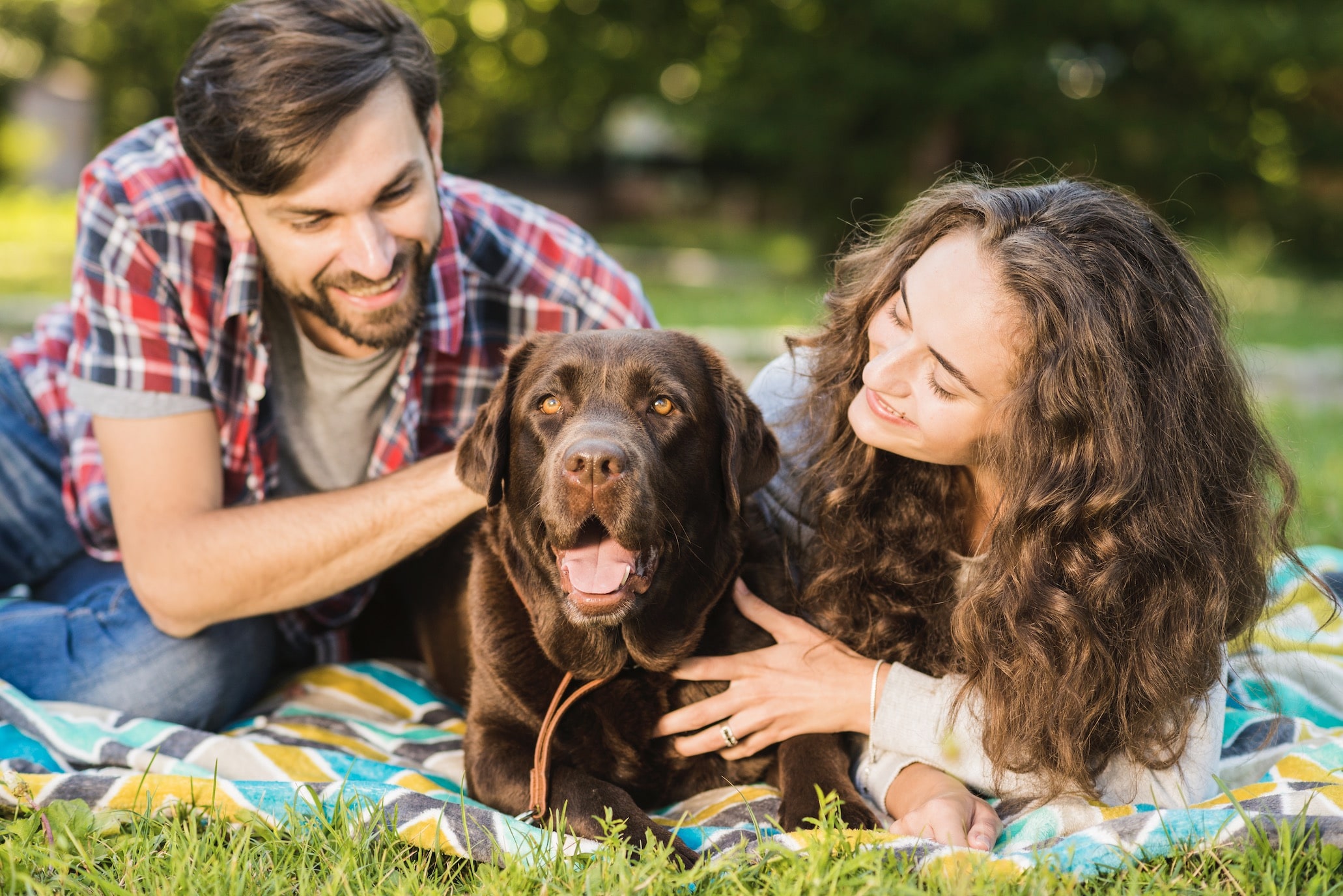 Consejos de nutrición saludable para tu nueva mascota